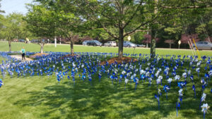 CBC pinwheel garden