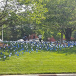 CBC pinwheel garden