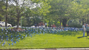 CBC pinwheel garden