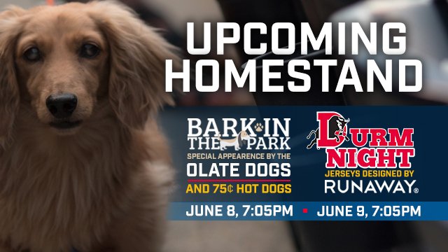 Bark in the Park