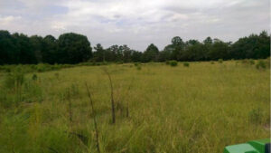 Ft. Bragg field, before