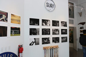 Bulls photography exhibition