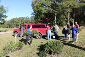 2016 WRAL Azalea Celebration