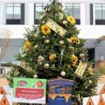 2016 Triangle Tree Challenge Winners