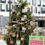 2016 Triangle Tree Challenge Winners