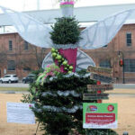 2016 Triangle Tree Challenge Winners