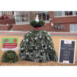 2016 Triangle Tree Challenge Winners