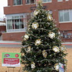 2016 Triangle Tree Challenge Winners