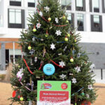 2016 Triangle Tree Challenge Winners