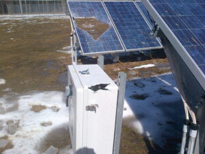 CBC Solar Farm