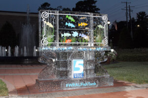 WRAL Fish Tank