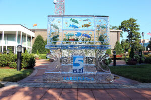 WRAL Fish Tank