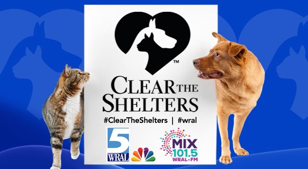 Clear the Shelters