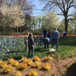 CBC Pinwheel Garden 2018