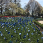 CBC Pinwheel Garden 2018