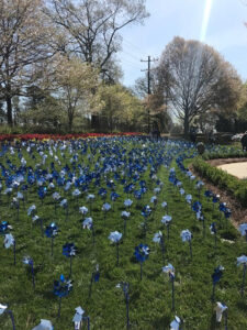 CBC Pinwheel Garden 2018