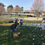 CBC Pinwheel Garden 2018