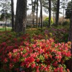 WRAL Gardens