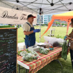 Farmer’s Market @ Diamond View