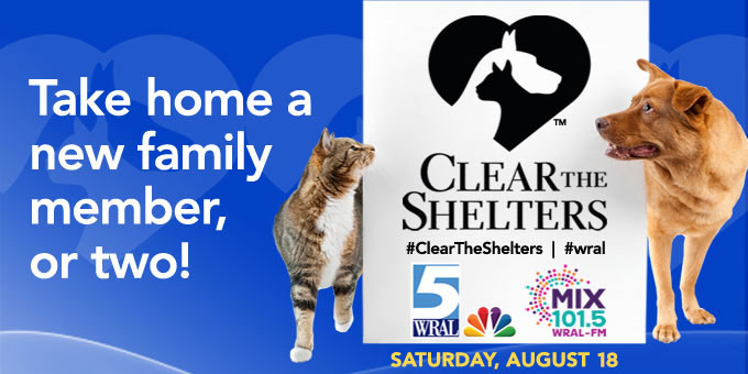 Clear the Shelters 2018