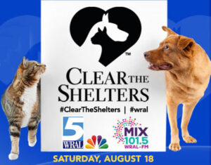 Clear the Shelters