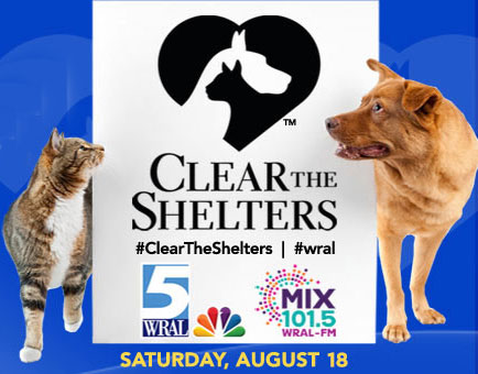 Clear the Shelters