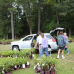 2018 WRAL Azalea Celebration