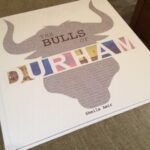 Bulls of Durham