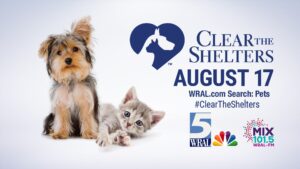 Clear the Shelters