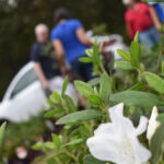 2019 WRAL Azalea Celebration