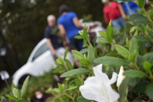 2019 WRAL Azalea Celebration