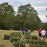 2019 WRAL Azalea Celebration