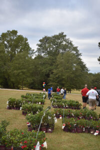 2019 WRAL Azalea Celebration