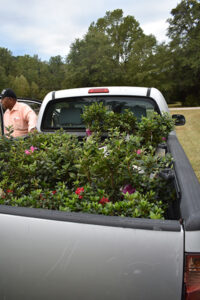 2019 WRAL Azalea Celebration