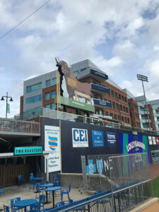 Durham Bulls Snorting Bull