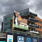 Durham Bulls Snorting Bull