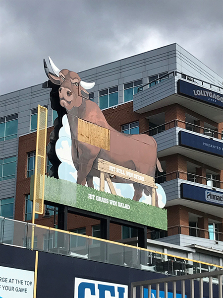 Durham Bulls Snorting Bull