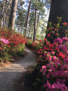 WRAL Gardens