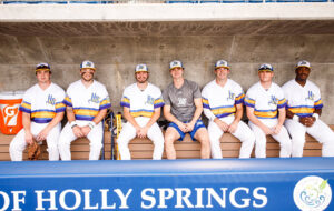 Holly Springs Salamanders