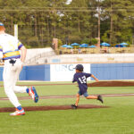 Holly Springs Salamanders