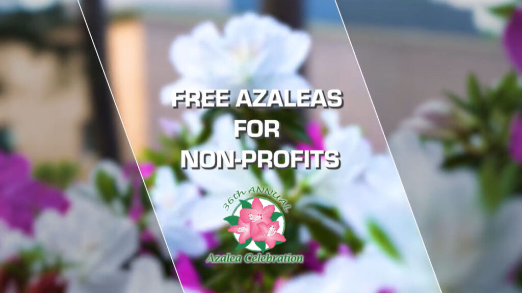 WRAL Azalea Celebration