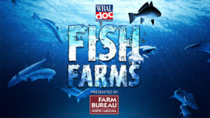 WRAL Documentary: Fish Farms