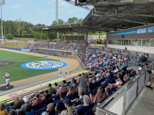 Holly Springs Salamanders