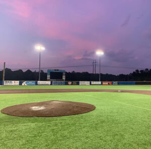 Holly Springs Salamanders