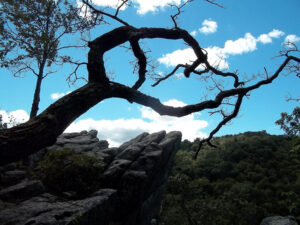 Appalachian Trail