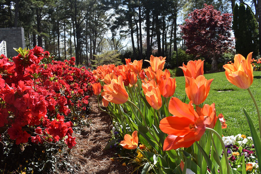 WRAL Gardens