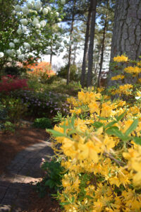 WRAL Gardens