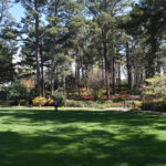 WRAL Gardens