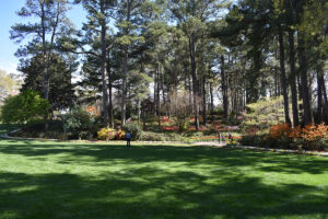 WRAL Gardens