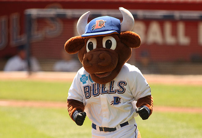 Wool E. Bull